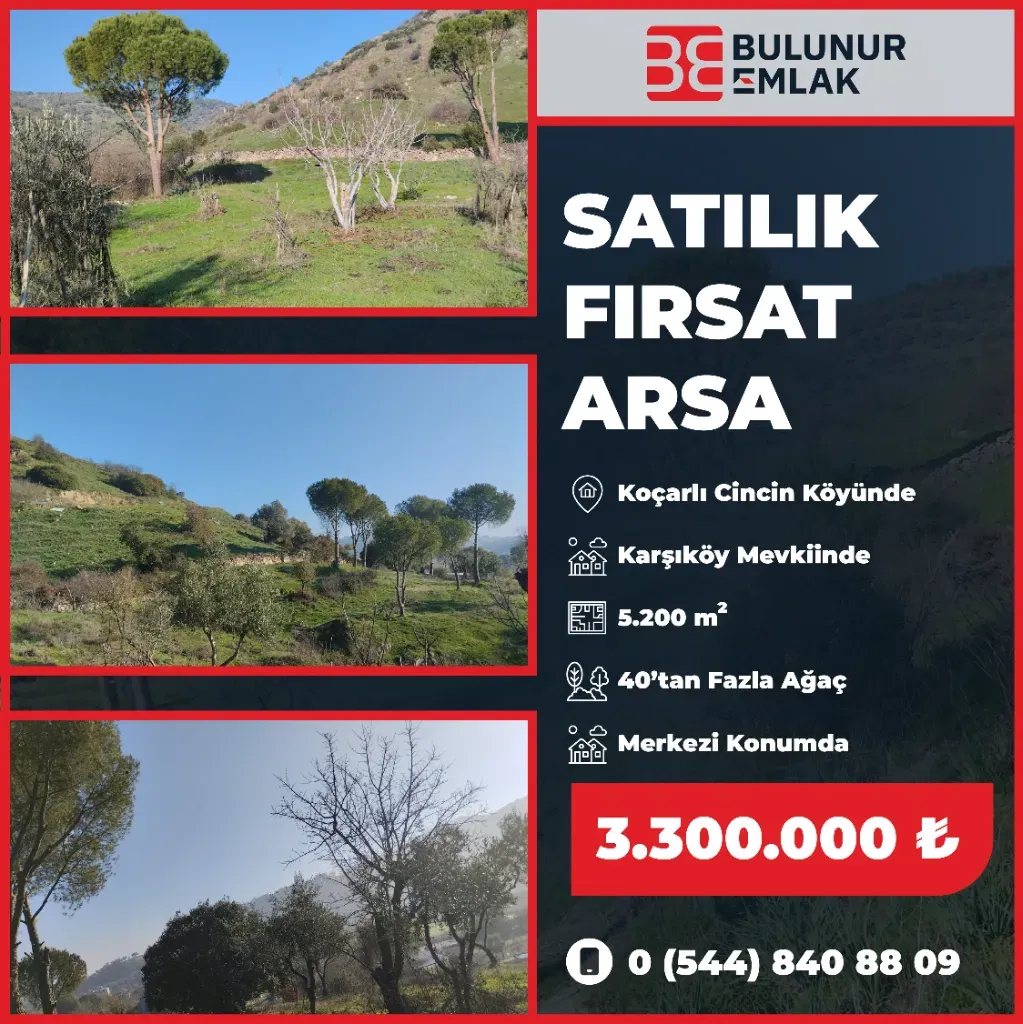 BULUNUR'DAN CİNCİNDE YOLA YAKIN 5.2 DÖNÜM ZEYTİN AĞAÇLI BAHÇE