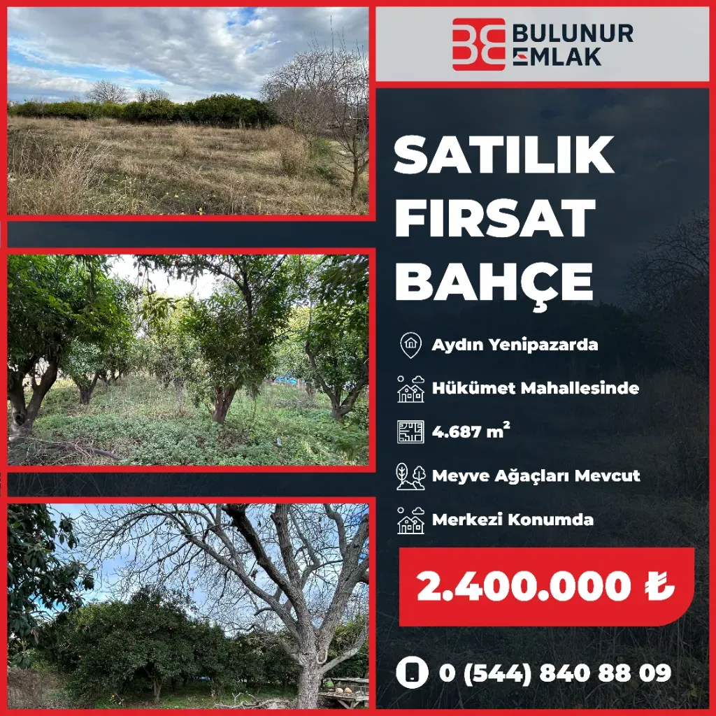 BULUNUR EMLAK'TAN YENİPAZAR DA SATILIK FIRSAT BAHÇE!!!!!